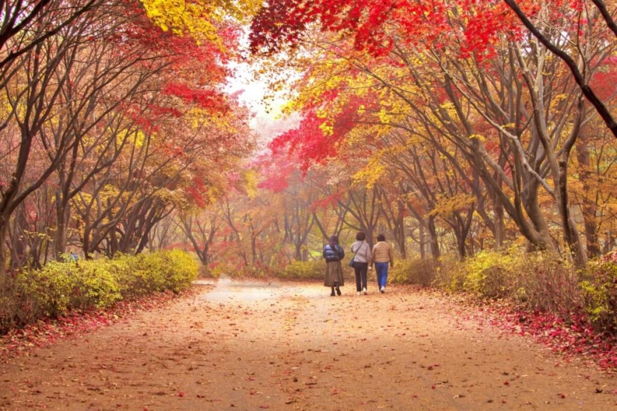 동래읍성 역사축제 (금강공원/동래읍성 일원)
