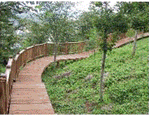 국립자연휴양림 추석 연휴 무료 예약 홈페이지