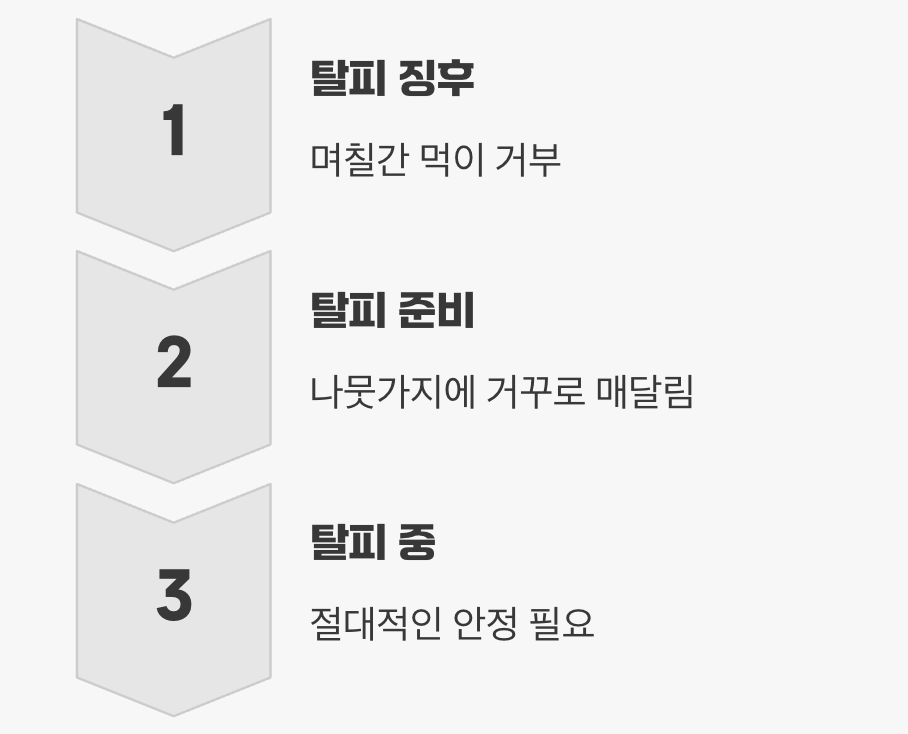 가장 중요하고 위험한 순간, 탈피