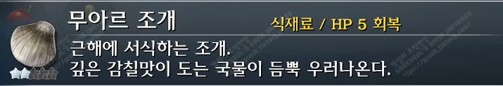 무아르 조개 설명