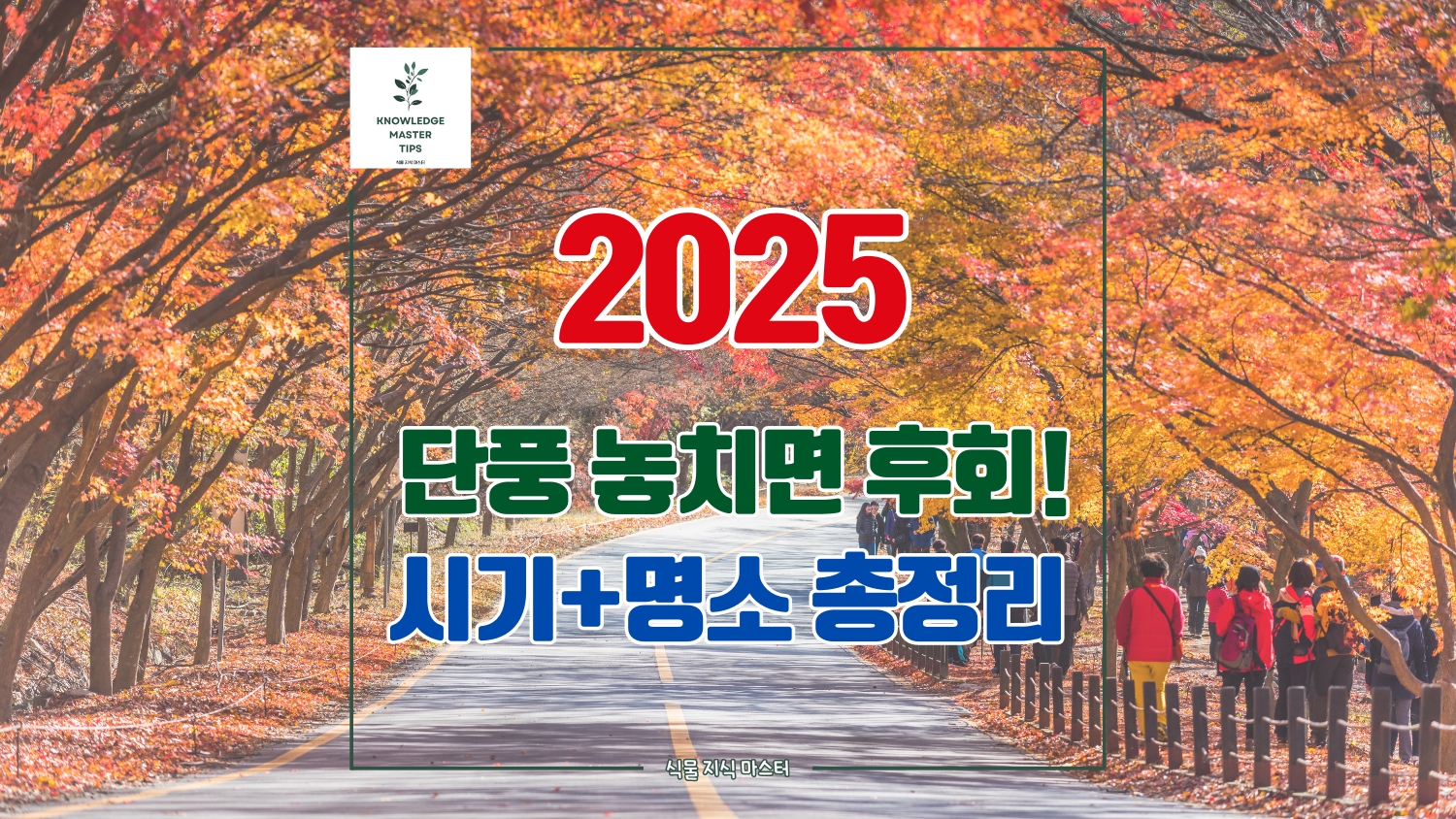 [2025 단풍 시기 총정리] 국립공원 첫단풍부터 절정 시기까지 이때 꼭 가세요