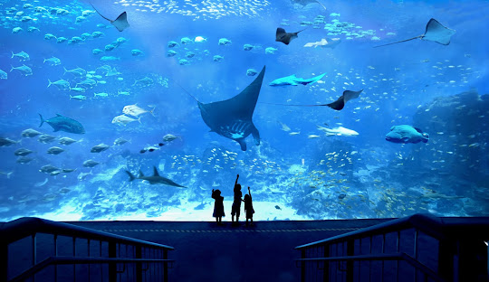 싱가폴여행 관련사진