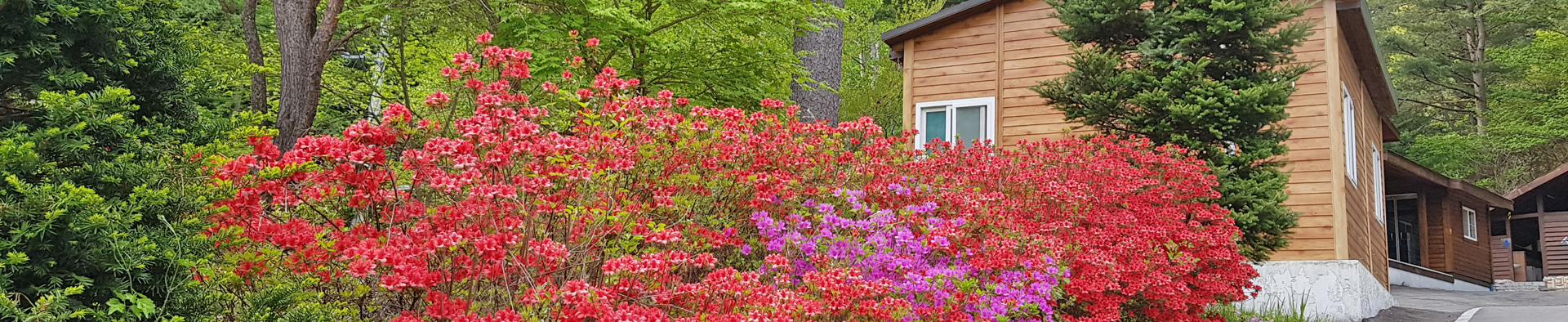 덕유산 자연휴양림