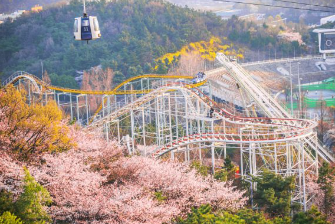 대구에서 즐기는 로맨틱 밤 관련 사진