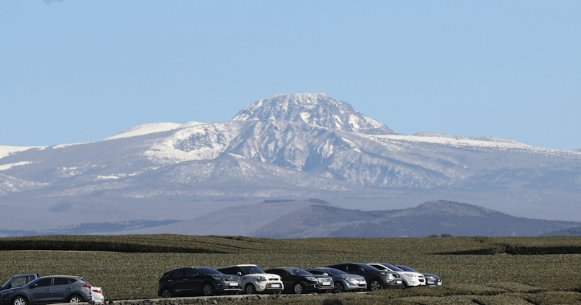 제주-돌하루팡-후기
