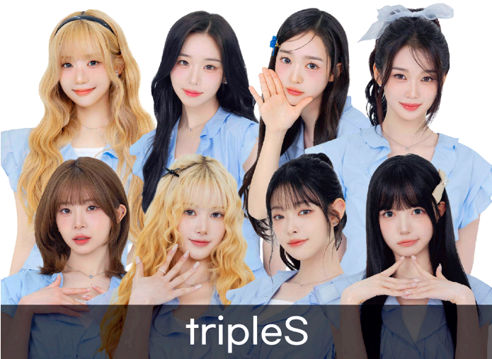 울산 조정 페스티벌