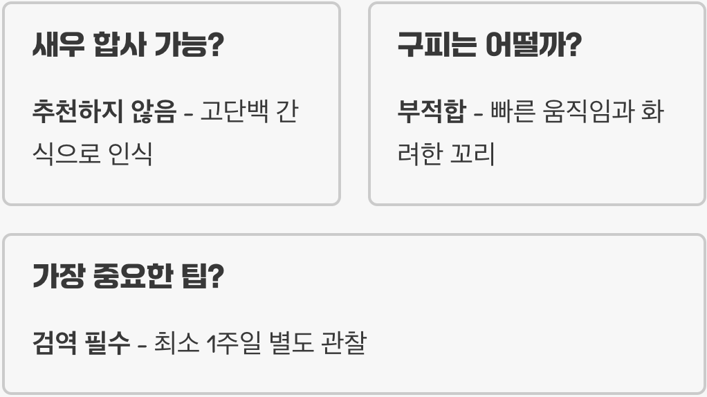 디스커스 합사 가능한 어종 BEST 5 (온순한 친구들)