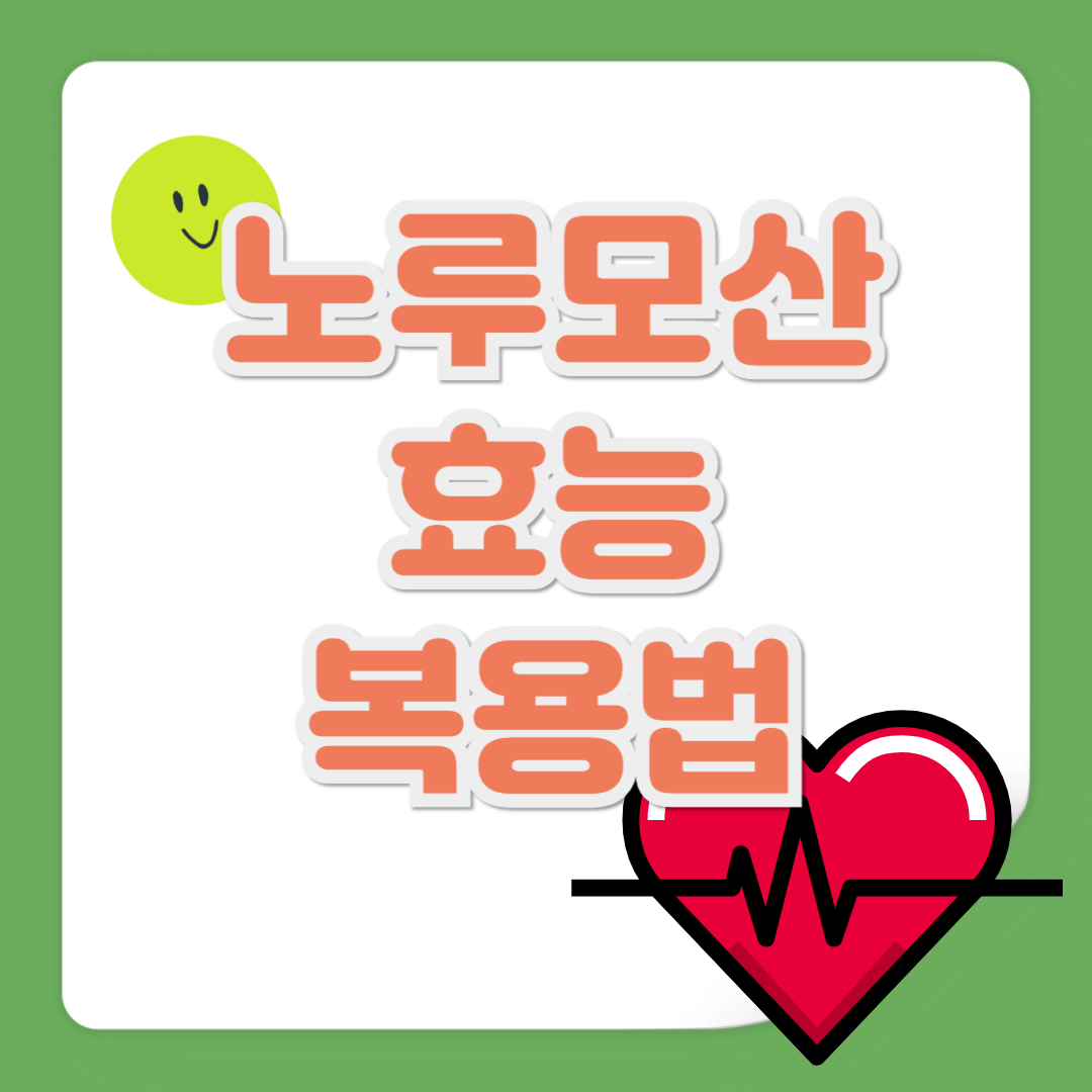 노루모산 효능 및 복용법