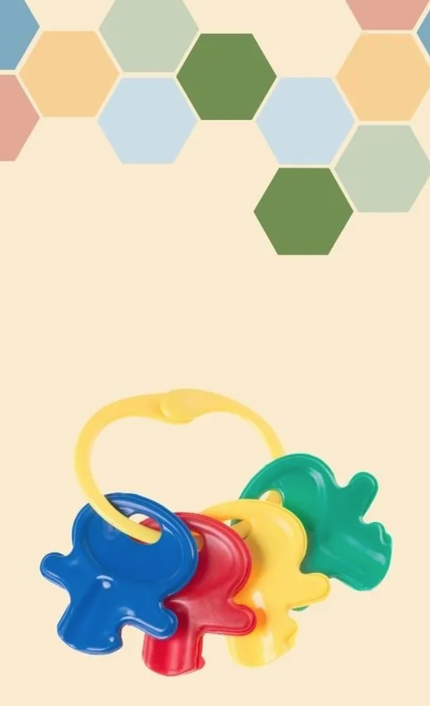 2025 아기 장난감 유해물질