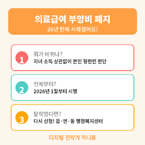 의료급여 부양비 폐지