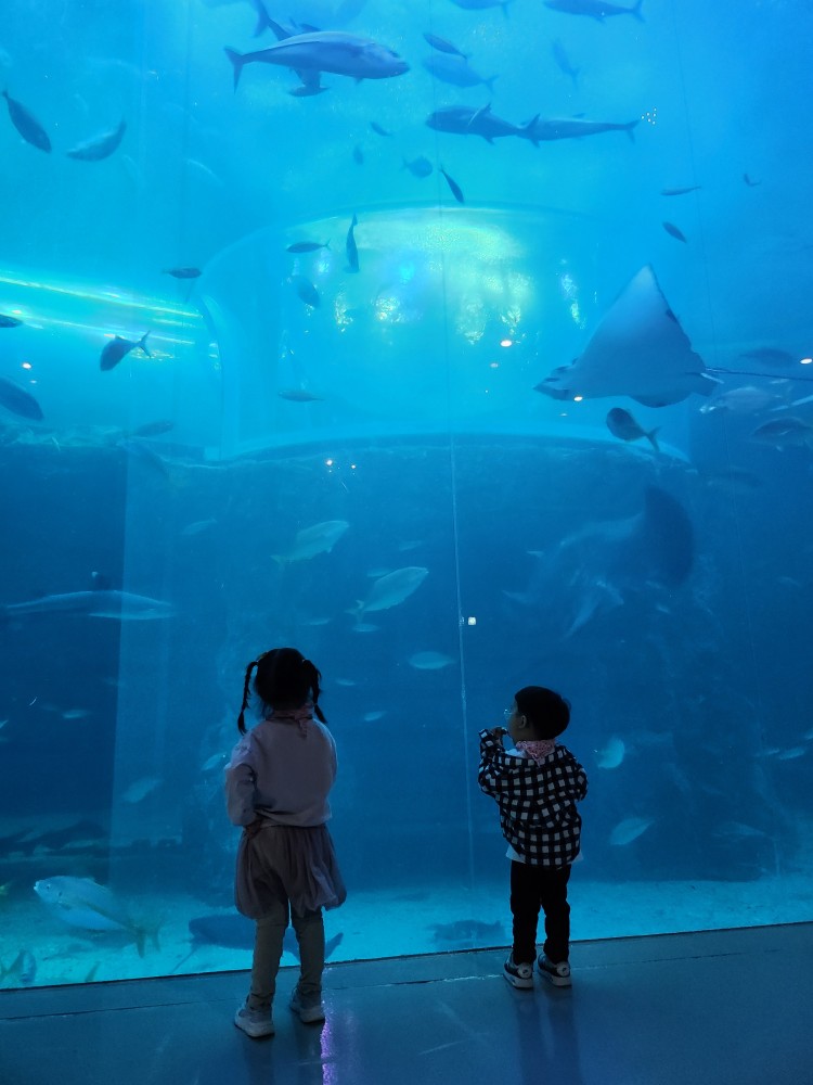 아쿠아리움을 구경하는 아이들