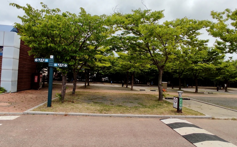 나무가 3그루나 있는 C-13사이트