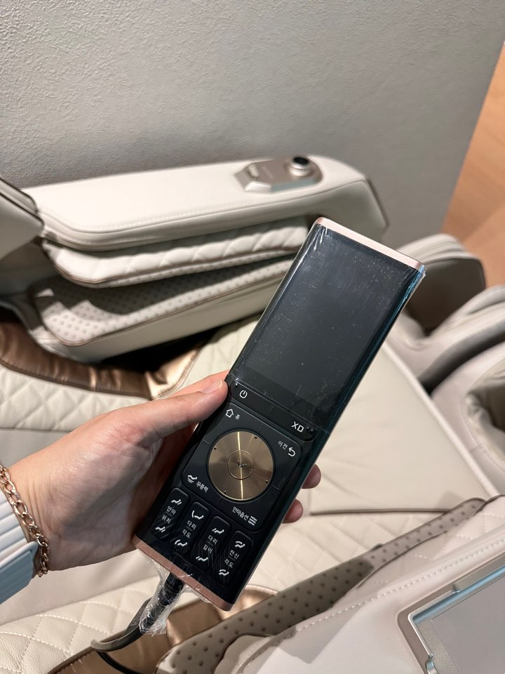 바디프랜드 팔콘