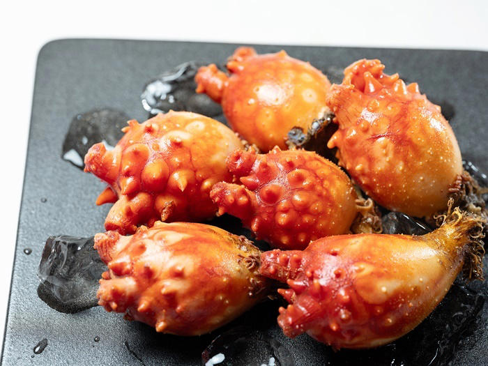 5월 제철 멍게