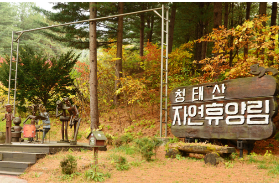 청태산 자연휴양림