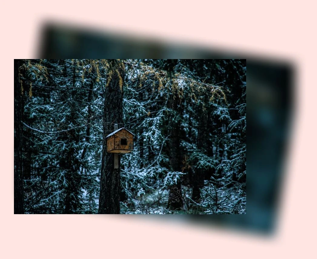 새집 적응_1_subsection