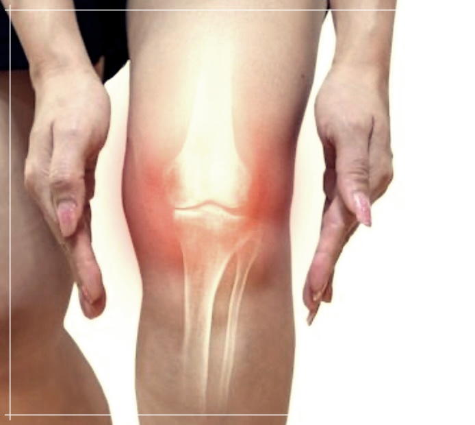 정향의 효능&#44; 먹는 방법 및 가격에 대한 상세 안내.