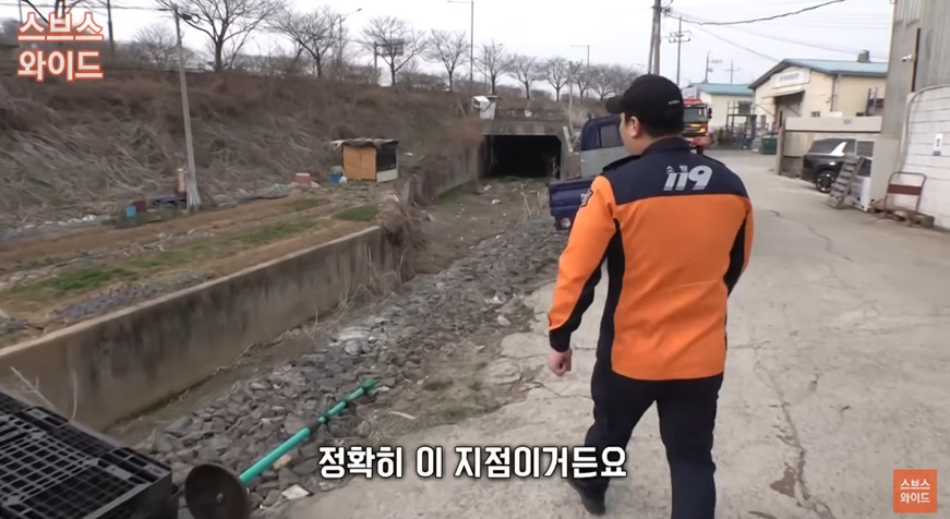 타조의 탈출과 비극적인 결말