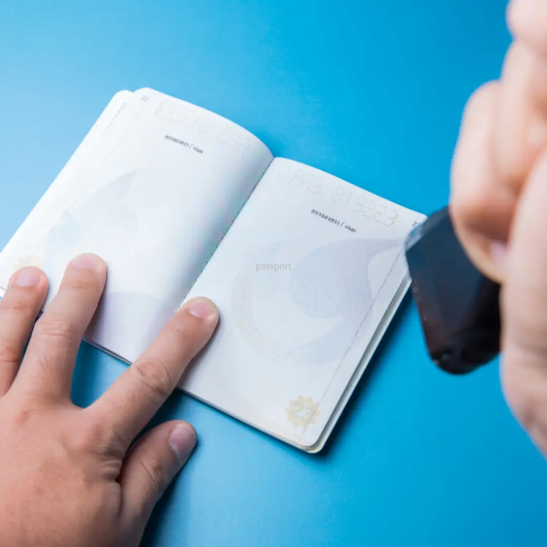 여권 사진 규정 (규격) 안내 (최신 개정사항)