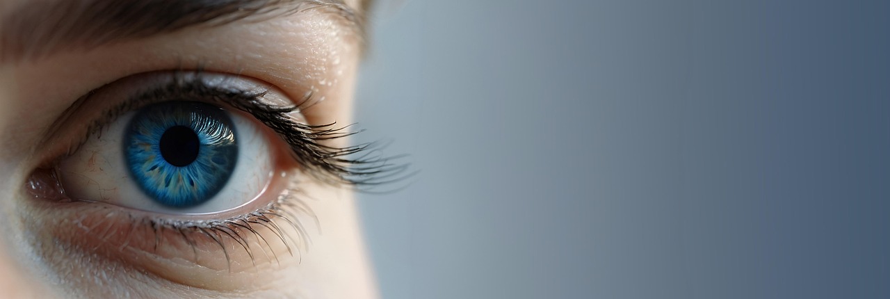 노화에 따른 감각기계의 특성 및 주요 질환