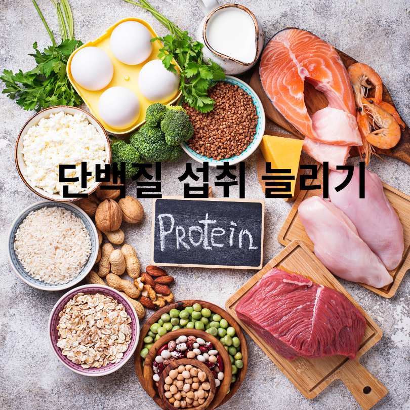 근감소증 자가테스트