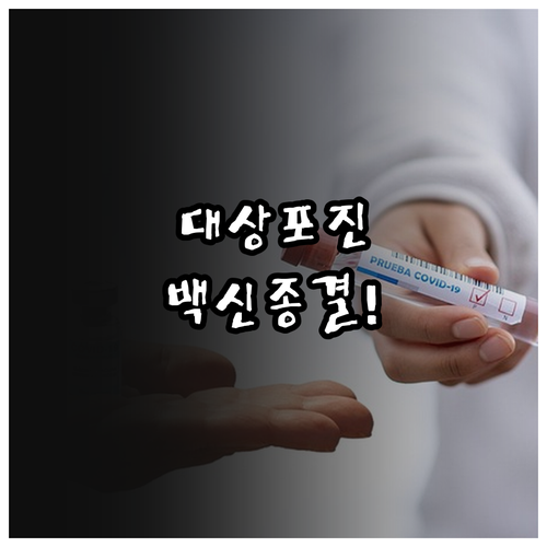 대상포진 예방접종 싱그릭스 스카이조스..
