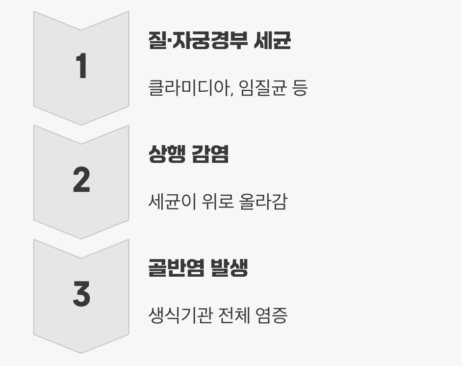 작은 불씨에서 시작되는 염증