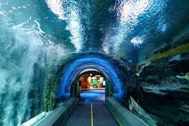 λ‘―λ°μλ μμΏ μ리μ