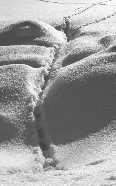 유언장 없이 떠난 사람의 디지털 흔적