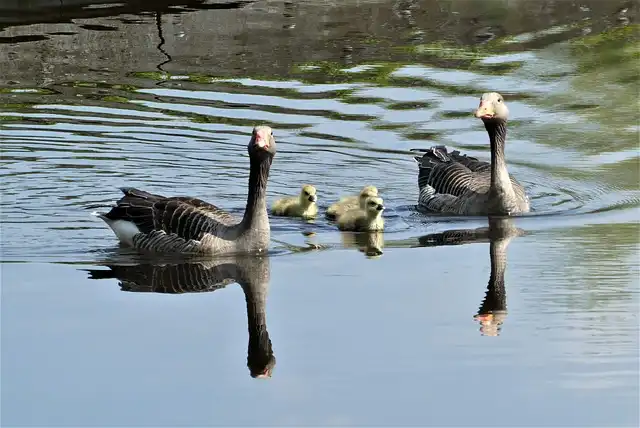 중성미자 플럭스 측정이 암흑물질 추론에 미치는 영향