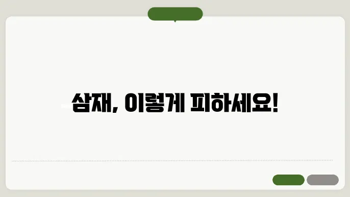 2025년 삼재를 피하는 팁