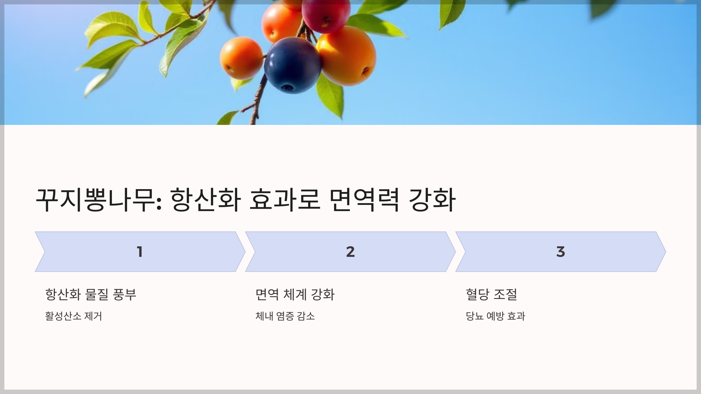 면역력 높이는 약초