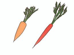 당근마켓 물건 올리는 방법