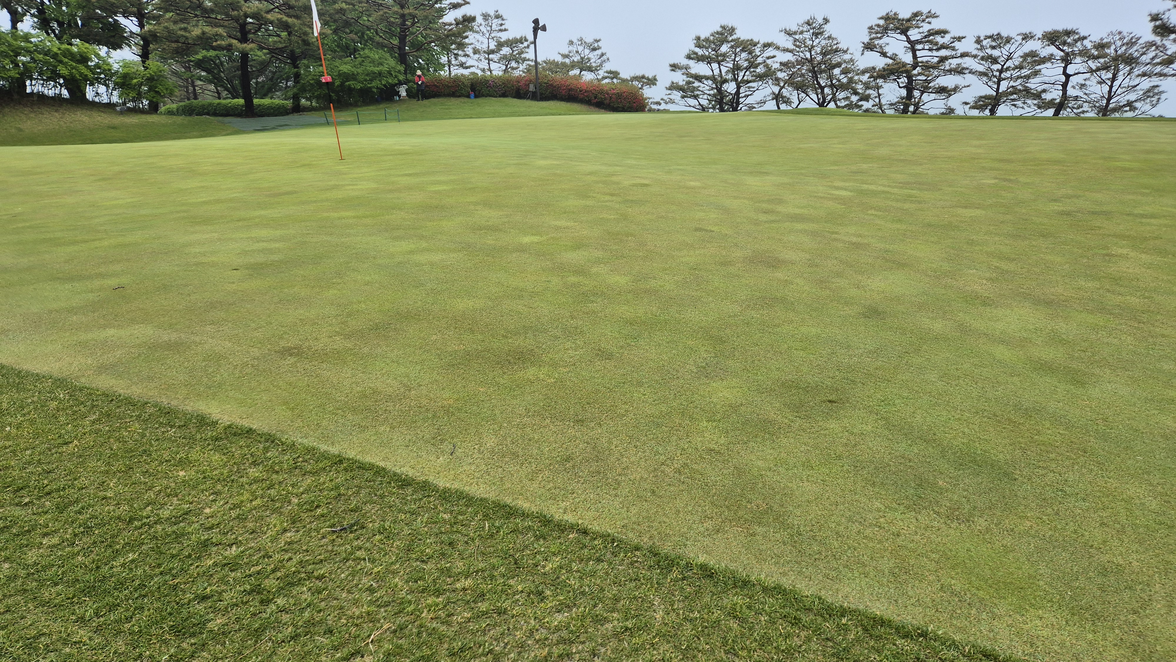 엘리시안 강촌cc 라운드 후기