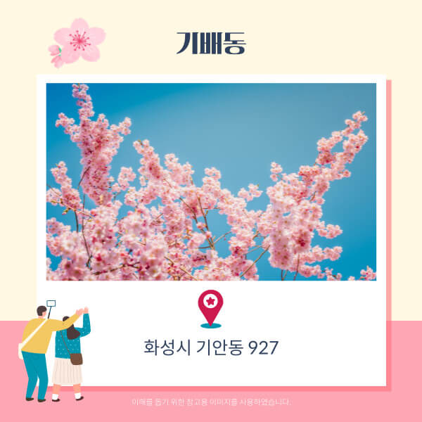 화성벚꽃명소-기배동