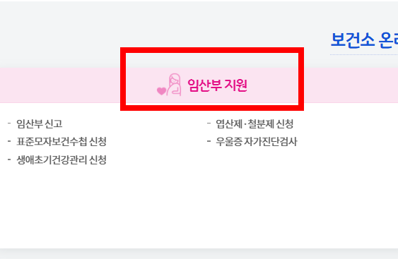 처방전 조회 사이트 소개