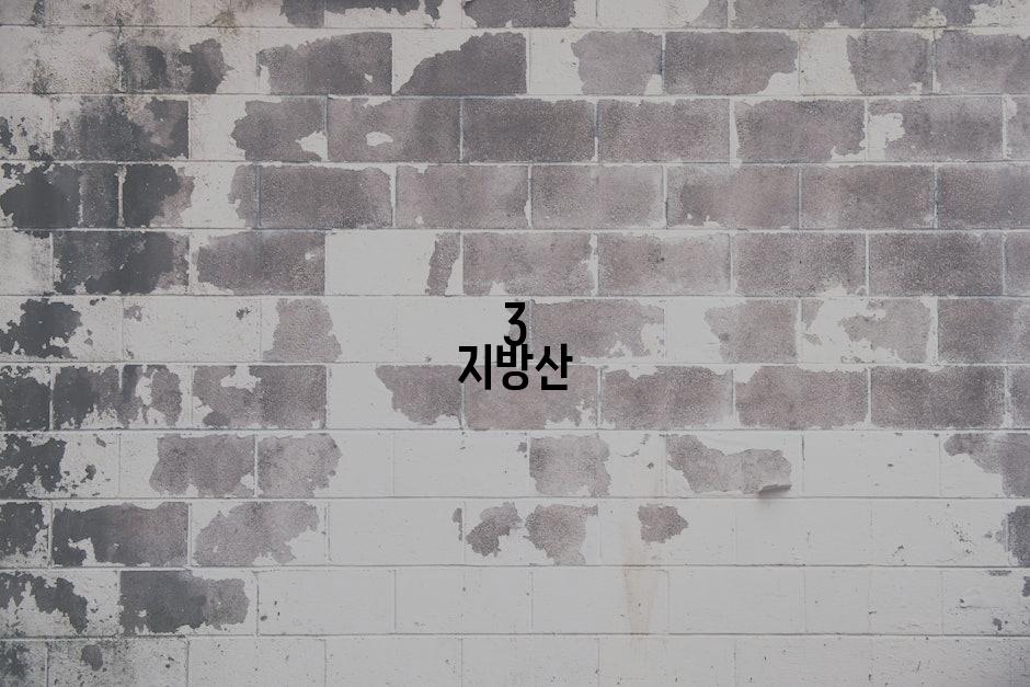 3 지방산