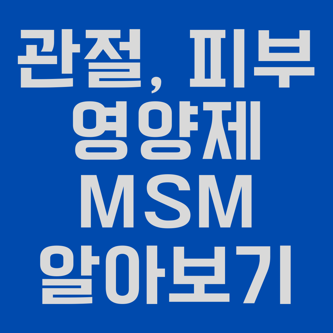 관절, 피부 영양제 MSM