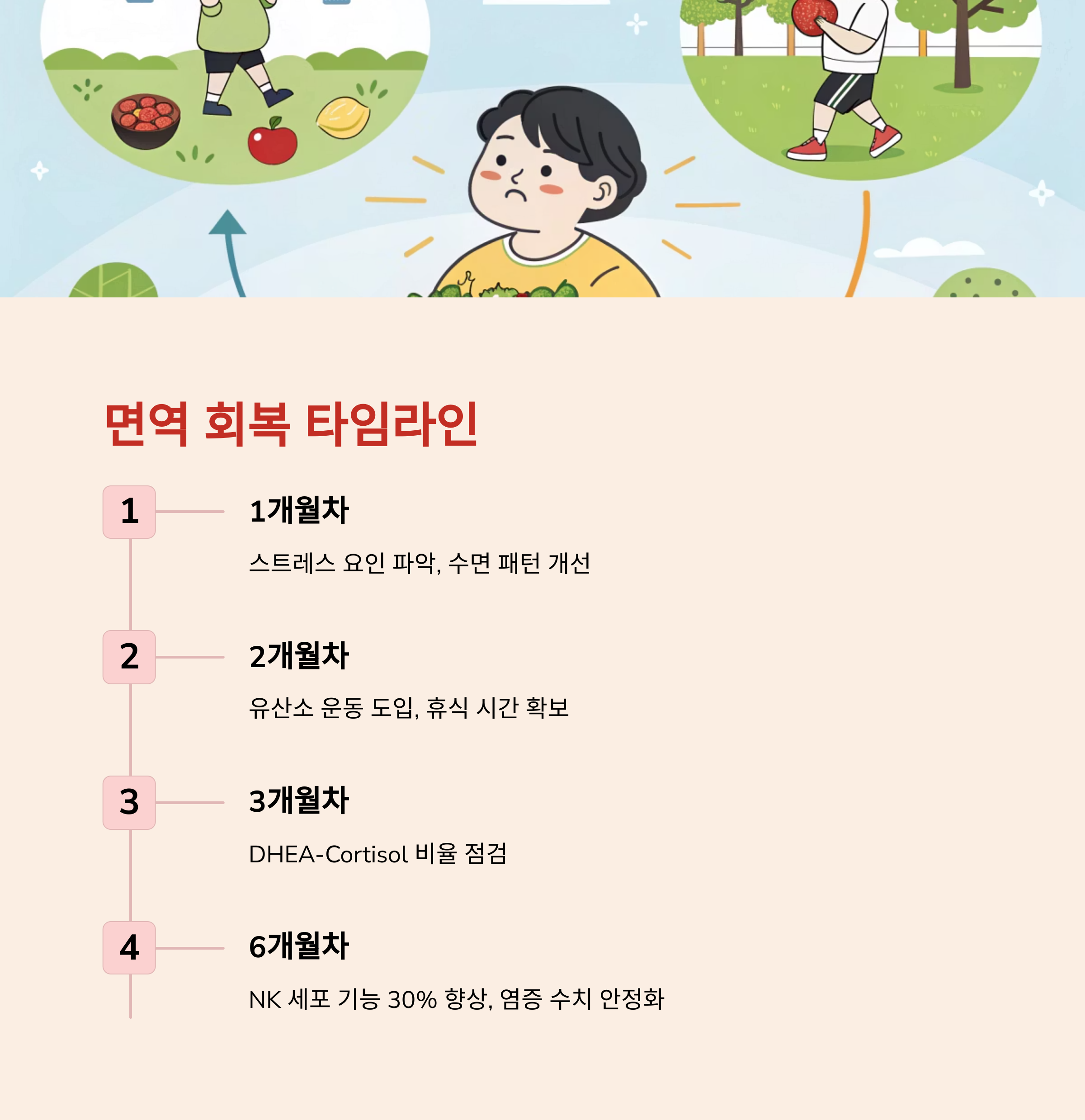 면역 회복 타임라인