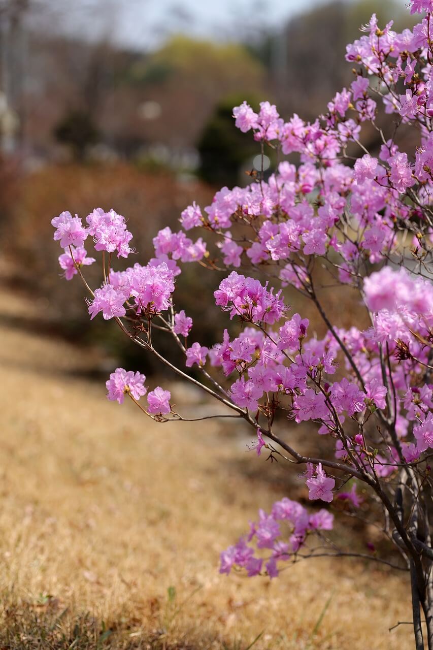 2025 여주오곡나루축제 일정