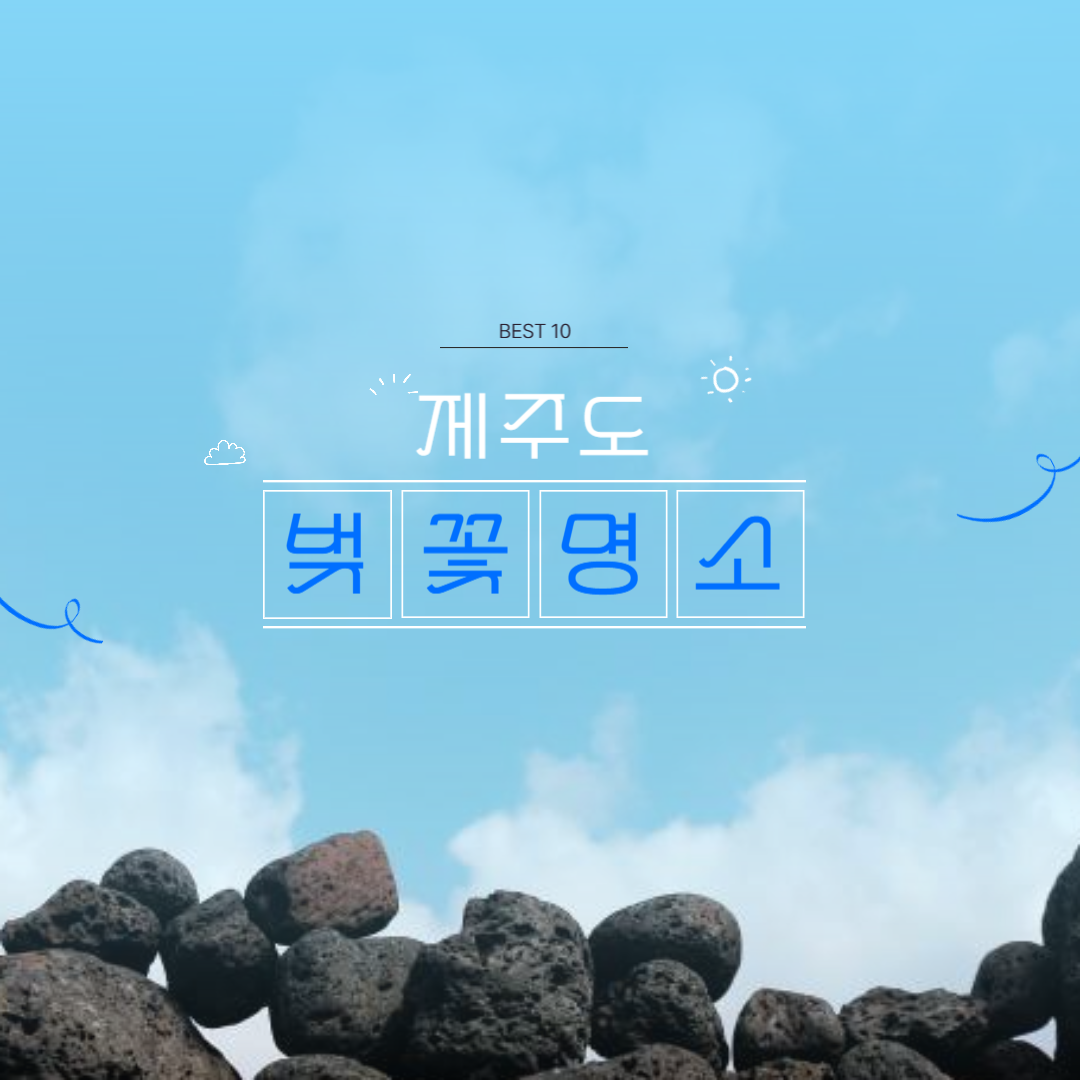 제주 벚꽃 명소 베스트10 가볼만한곳 추천 꿀팁