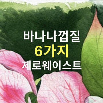 바나나껍질 6가지 제로웨이스트