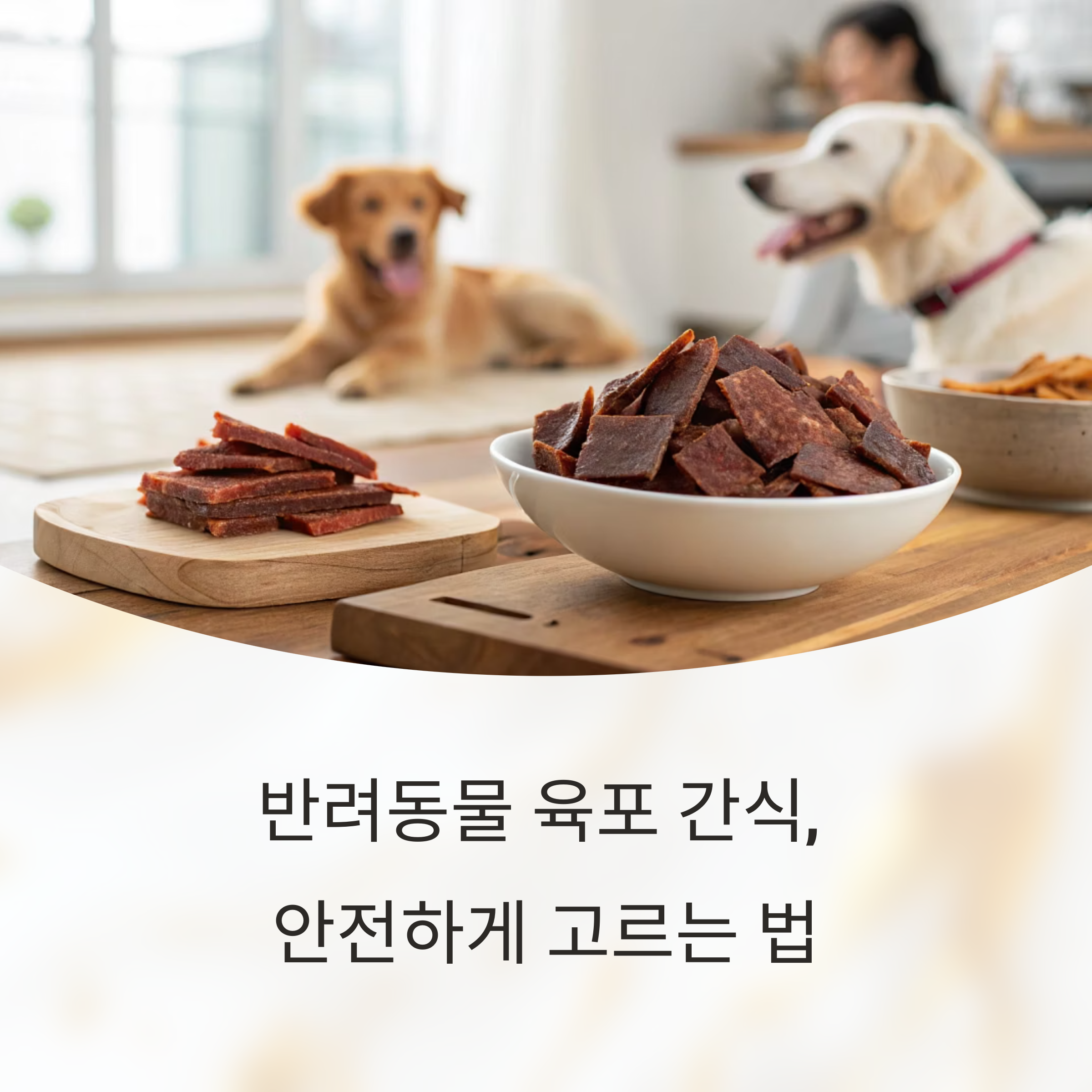 육포 간식, 안전하고 건강하게 고르는 방법