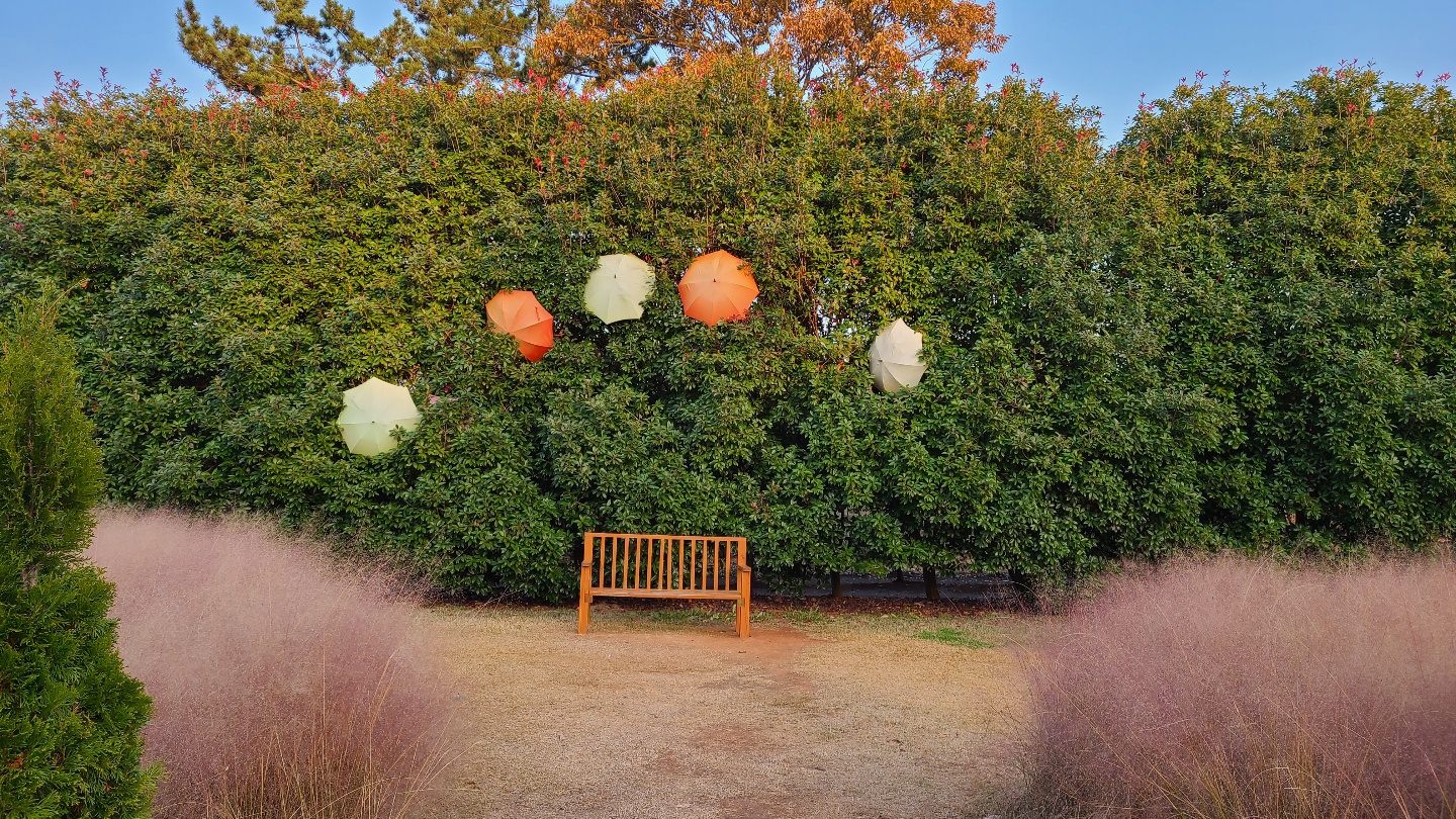 태안가볼만한곳-태안데이트-청산수목원-홍가시원