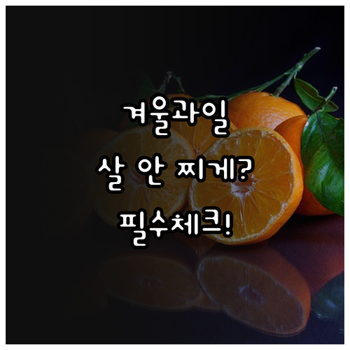 겨울 제철 과일 다이어트 적정 섭취량..