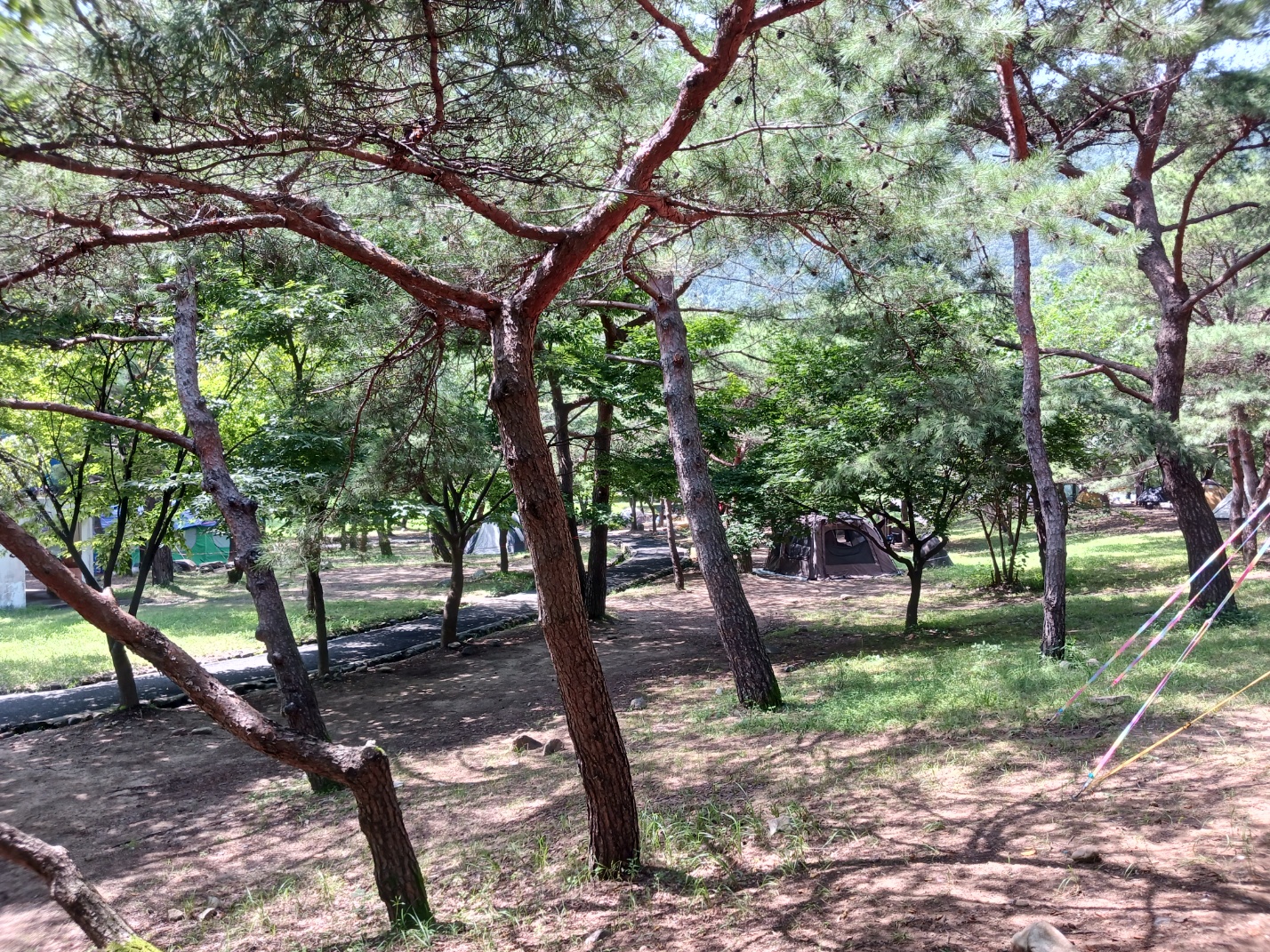 소선암공원