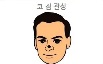 코 점 관상