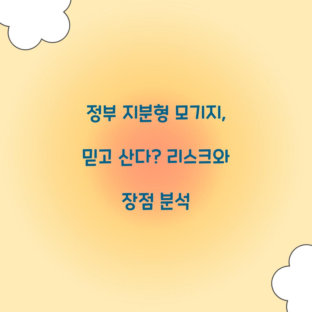 정부 지분형 모기지