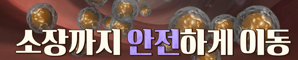 오메가 3 복용법 및 고르는 법