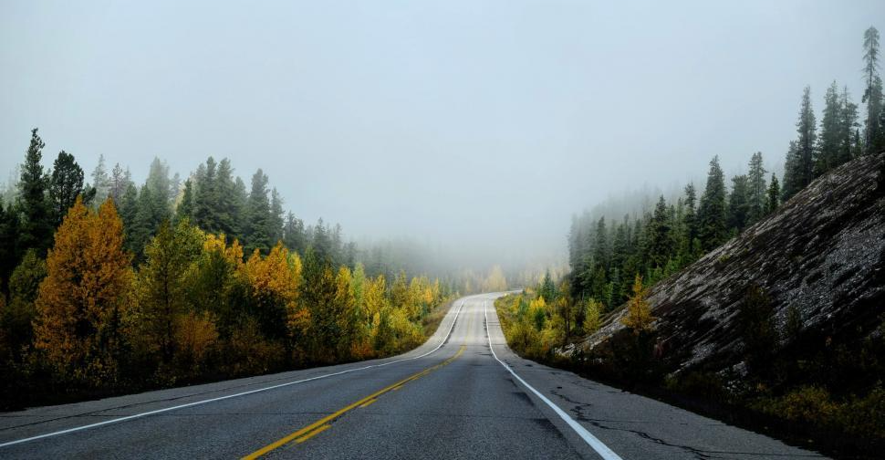 여러 방향으로 연결되는 성장의 흐름
